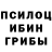 Галлюциногенные грибы мицелий Nikita Lutenko