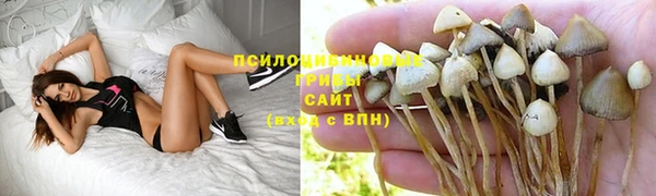 MESCALINE Арсеньев