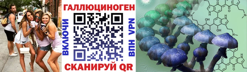 как найти наркотики  Темников  Псилоцибиновые грибы ЛСД 